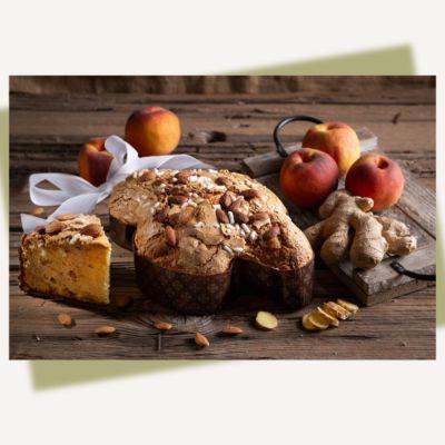 Colomba