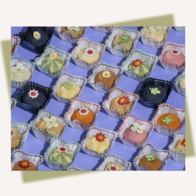 Savoury Biscuits
